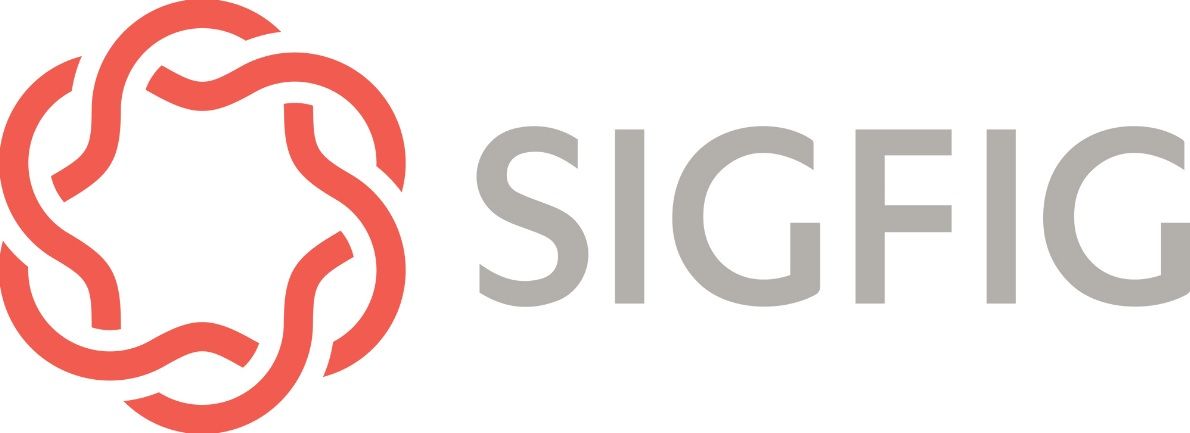 <a href="https://www.sigfig.com/site/#/home/am" target="_blank">SigFig Wealth Management</a><br>
SigFig's service was launched to the public in 2012 and began focusing on bank and advisory clients three years later.<br>
Its platform allows firms to customize the investment management assumptions, such as capital markets expectations, as well as risk questionnaires. SigFig also has partnered with multiple large custodians, and its clients can choose either one custodial platform or allow its investing clients to sign-up and leave assets at their existing custodian.<br>
Its clients include <a href="http://www.investmentnews.com/article/20161115/FREE/161119959/wells-fargo-teams-with-sigfig-to-offer-robo-adviser" target="_blank">Wells Fargo Advisors</a>, <a href="http://www.investmentnews.com/article/20160516/FREE/160519939/ubs-to-offer-sigfigs-robo-platform-to-its-financial-advisers" target="_blank">UBS Wealth Management</a> and Citizens Bank.