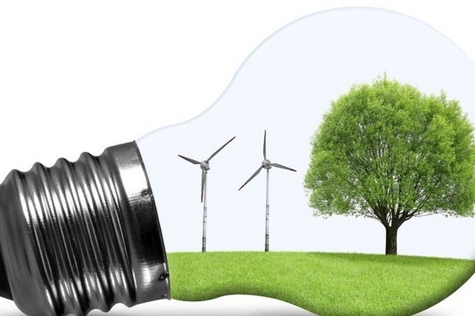 Light Bulb with wInd turbine, tree and grass