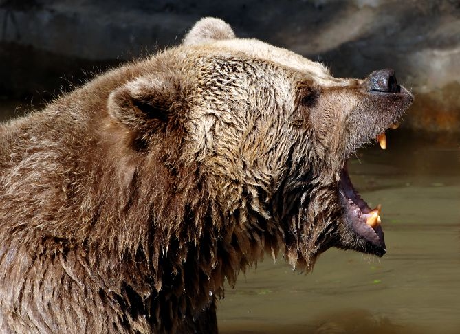 <b>The date</b><br>March 2009 <br><b>The details</a><br>After the S&P 500 fell more than 50% from its peak to 776, Mr. Gundlach held a conference call with investors entitled “You're too bearish” and said it wouldn't surprise him to see the S&P end the year in the 950 to 1,000 range. He got the direction of the market right, but was perhaps a bit too bearish himself. The benchmark index ended the year at 1,126. <br>