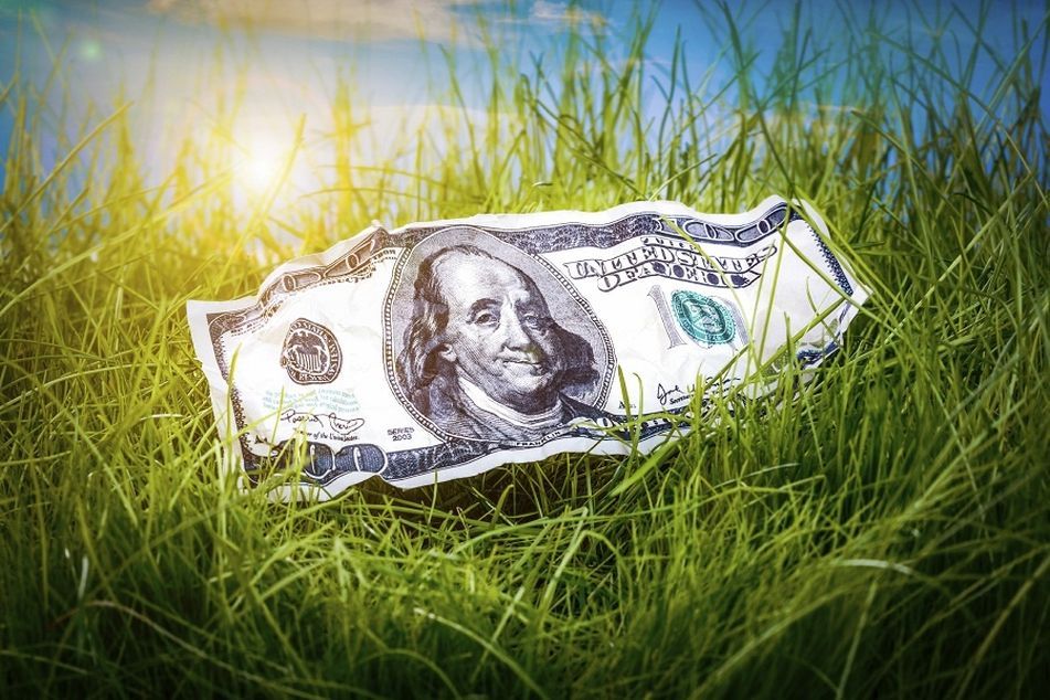 crumpled hundred dollar bill in field of grass