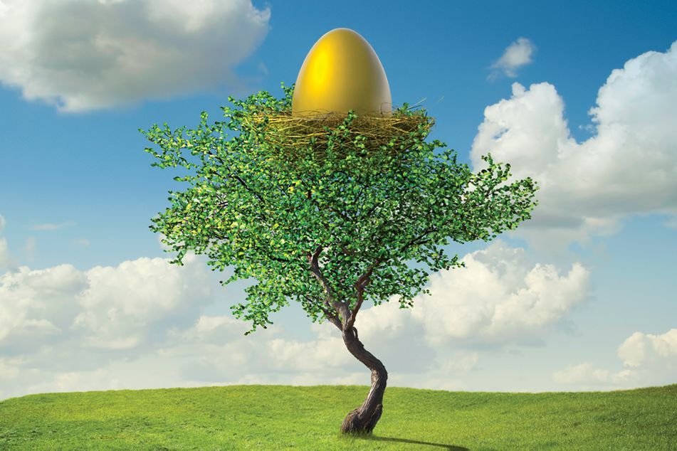 golden egg in tree 401(k) nest egg