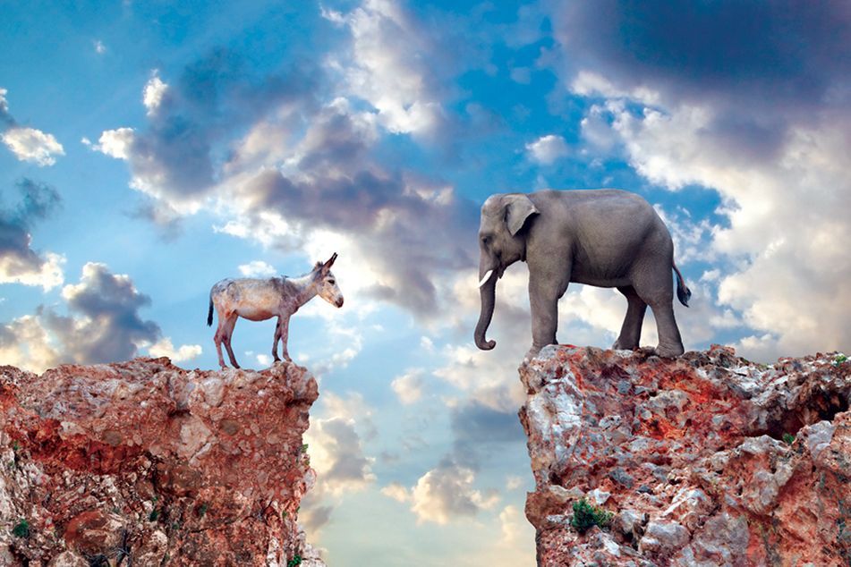 election-donkey-elephant-facing-off