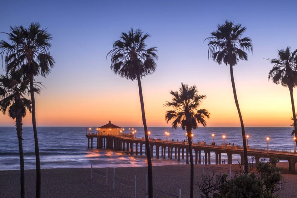 Pacific-ocean-with-pier-and-palm-trees