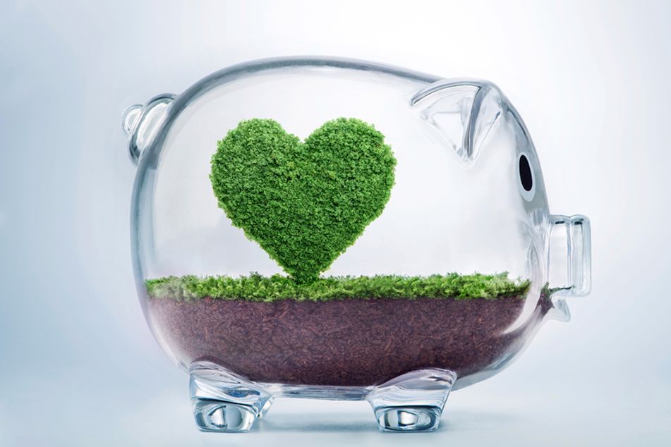 Love for ESG investing keeps growing