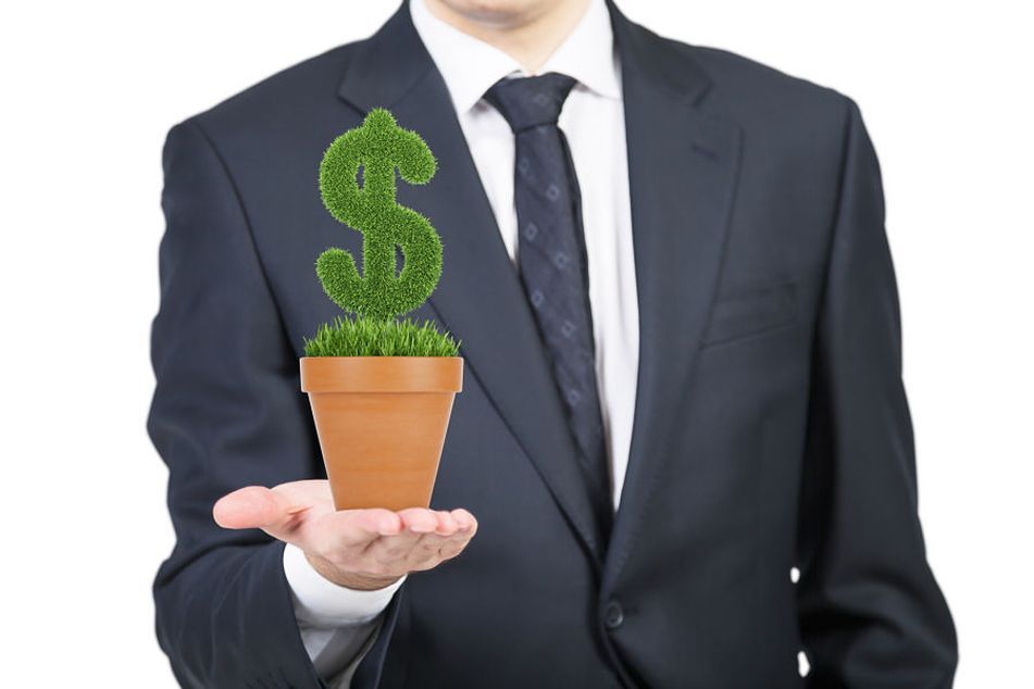 A person in formal suit holds a flowerpot with grass green dollar sign. Isolated on white background.