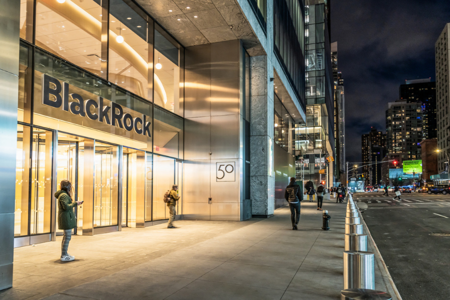 BlackRock leads the pack on climate transition: Morningstar