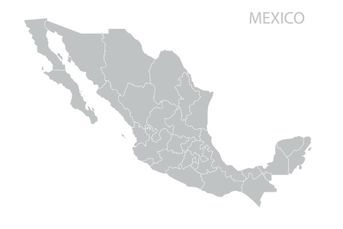 Mexico opts to keep rates at 11% amid volatile peso